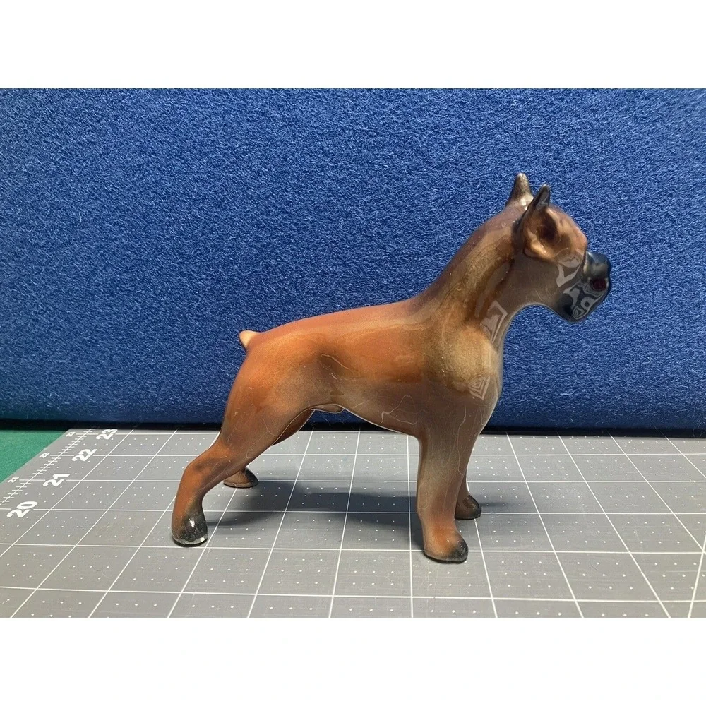 Boxer 